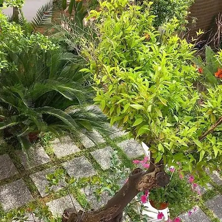 L'elisea Maison De Charme Hotel Castellabate