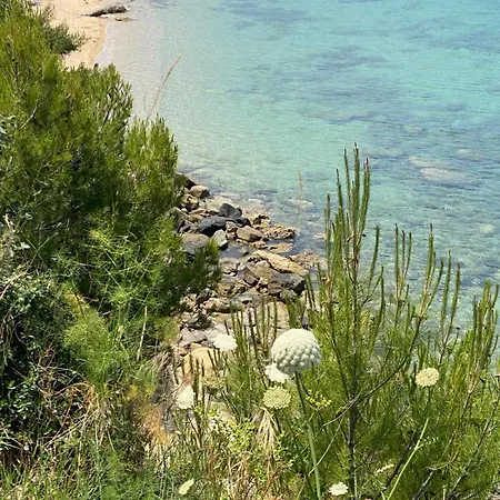 Hotell L'elisea Maison De Charme Castellabate