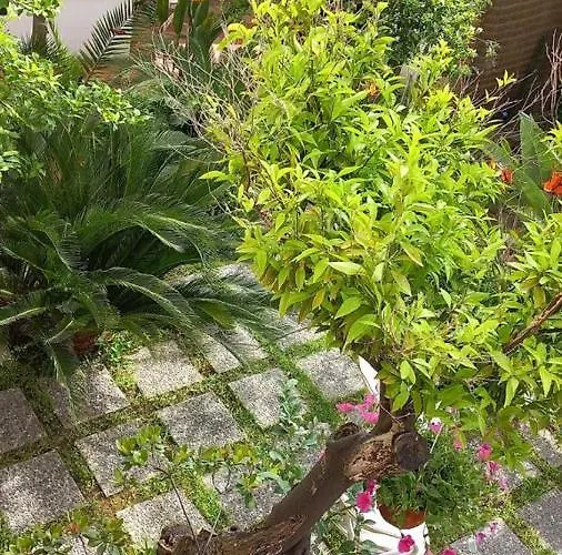 L'elisea Maison De Charme Hotel Castellabate